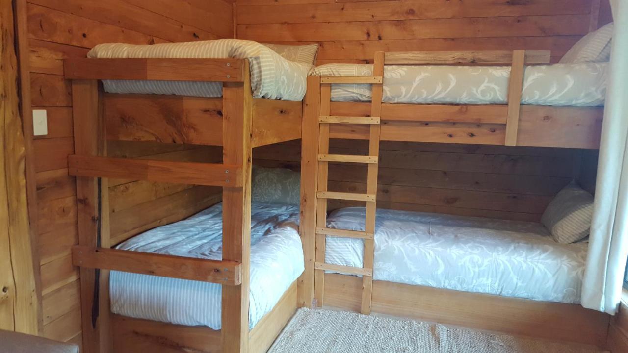 Rustic Hut Bush Retreat Bed and Breakfast Penguin Rum bild